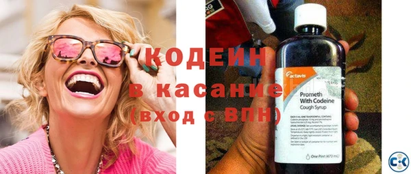 индика Баксан